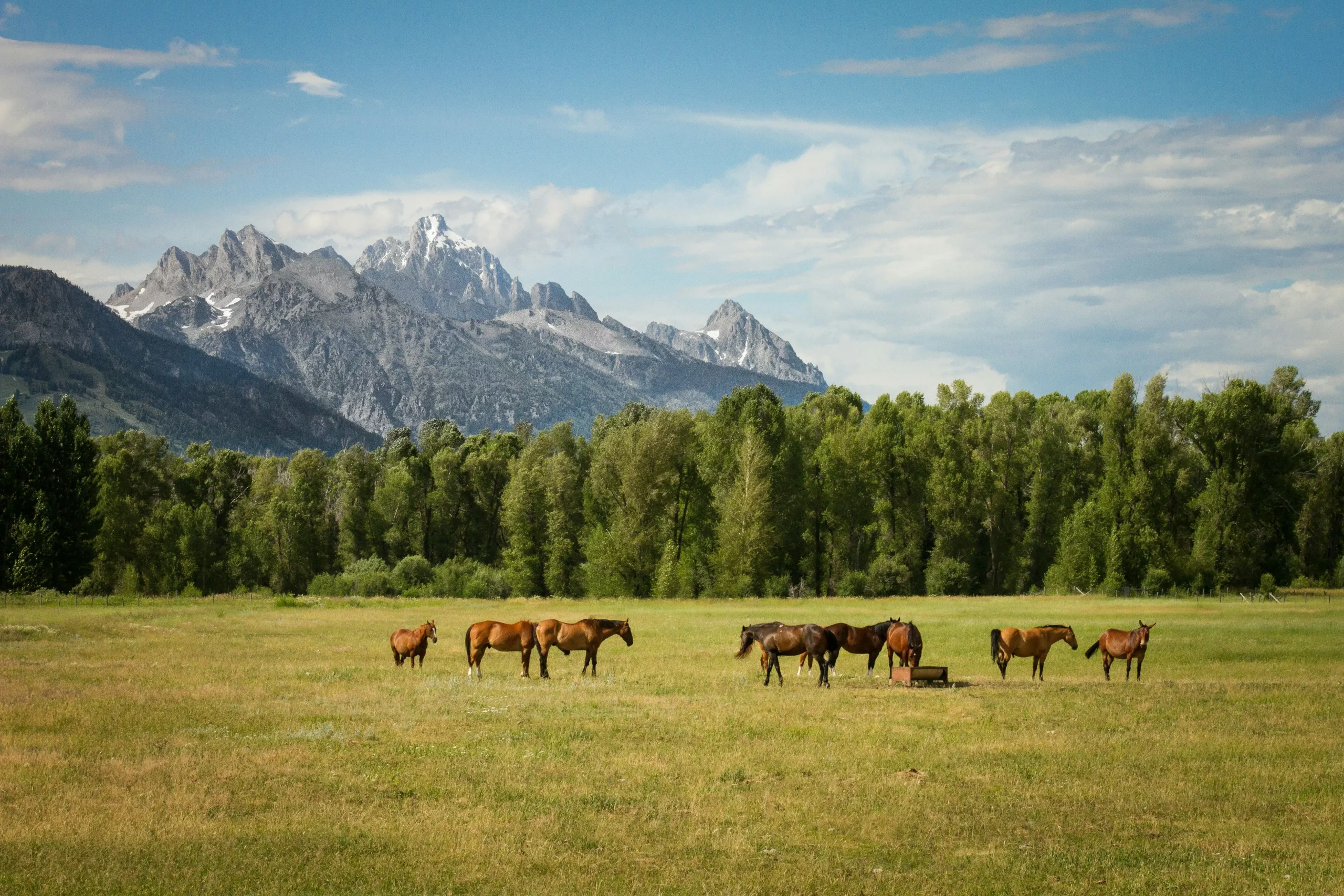 jackson hole, wy